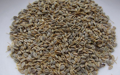 صورة بذور بقدونس مصرى