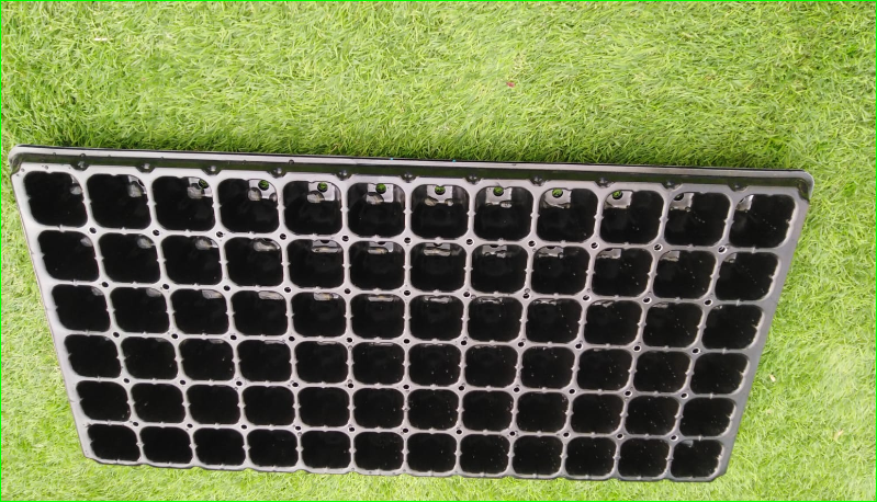 صورة صينيه زراعيه للبذور 72 فتحه سميك