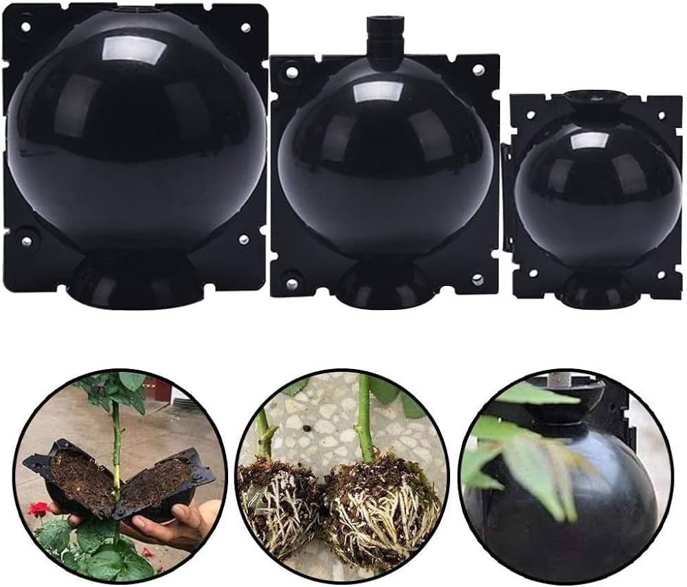 صورة كفر الترقيد حجم وسط 