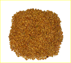 صورة برسيم  حجازي  مصري 