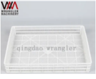 صورة  حاضنة  التجميع للفقاسه 