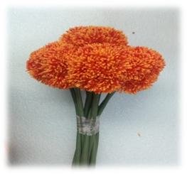 صورة ورد الخرز البرتقالى