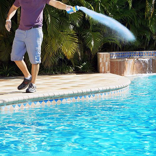 صورة كرستال شوك كلور 