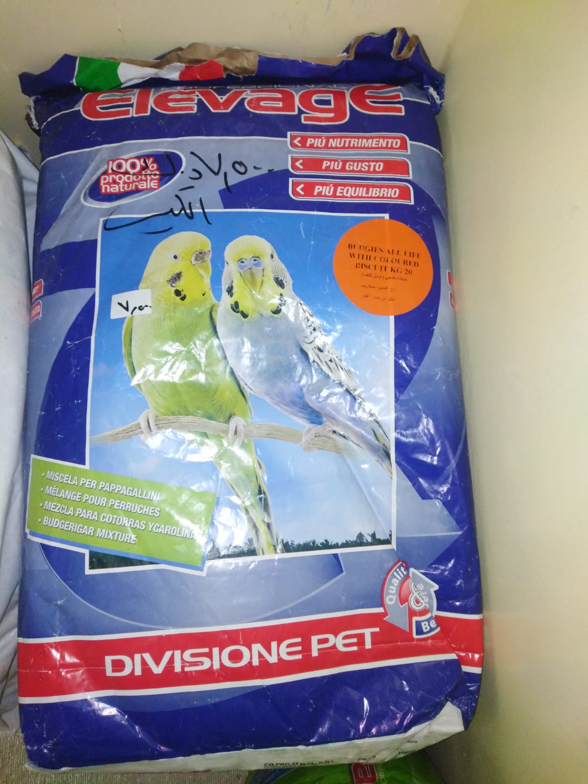 صورة خلطه ببغاء اوول لانف مع اكستر ا بسكويت 