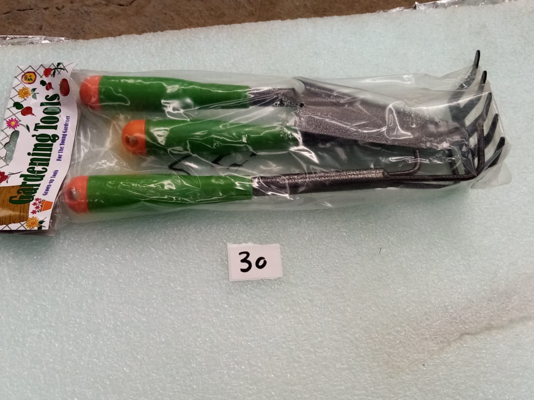 صورة GARDAN SHOWEL MINI 3PCS  PLASTIC/WOOD(30)GAMALI/طقم ادوات زراعه