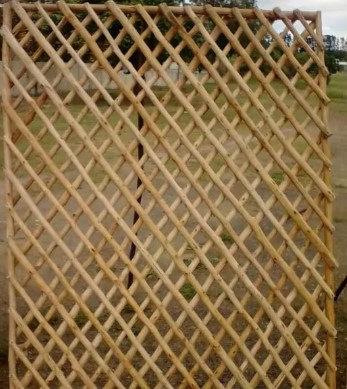 صورة سياج بامبو مربعات 1متر * 2متر