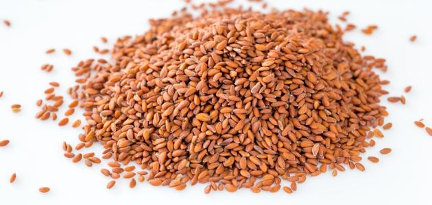 صورة بذور حب الرشاد