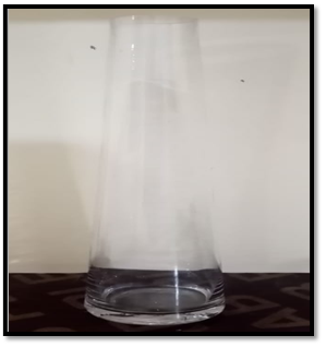 صورة فازة مخروطية الشكل ذو راس صغيرة