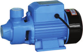 صورة SM100  0.75 kw / 1 hp 1" *1"  1-ph peripheral pump//موتور هندى 1 حصان