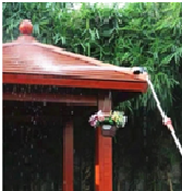 صورة مسدس  رش النباتات  البرتقالى