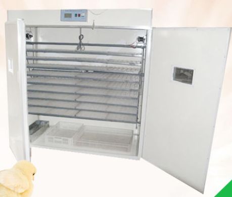 صورة حاضنة البيض الأوتوماتيكية 3168 بيضة