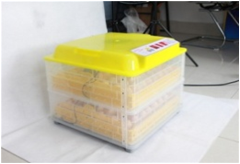 صورة حاضنه البيض ، عدد البيض  96 بيض