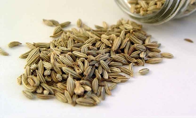 صورة بذور شبنت ايرانى