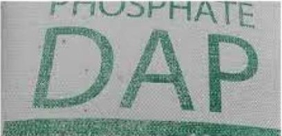 صورة سماد داب dap فوسفات الامونيوم - هولندى