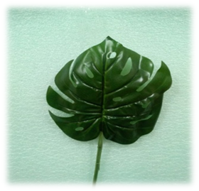 صورة وردة ورقه عريض مثقوب