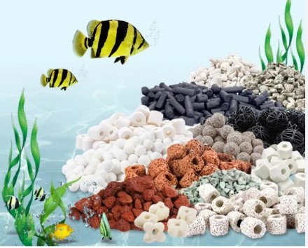 صورة glass ring للاسماك