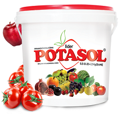 صورة سماد بوتاسول (POTASOL) سماد عالي البوتاسيم بودر (1) كجم فعال في زيادة حجم الثمار