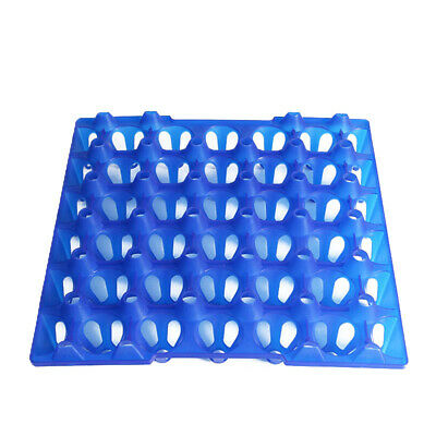 صورة صينيه بيض الرومى